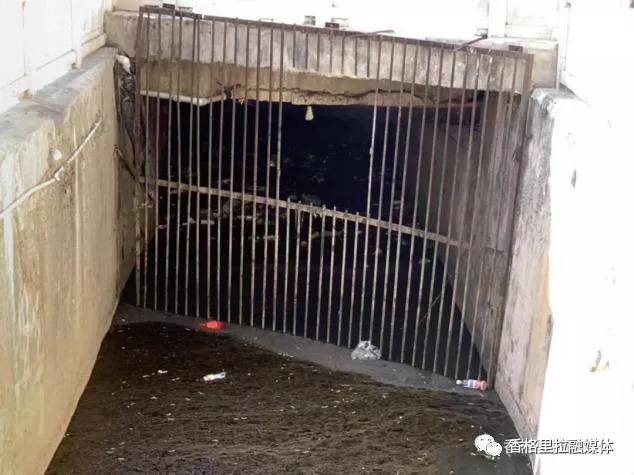 1624945019982031799.jpg 36.webp.jpg