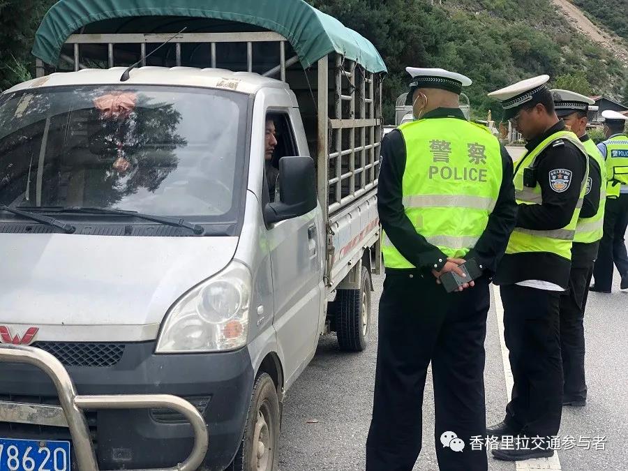 1633761942864045945.jpg 10.jpg