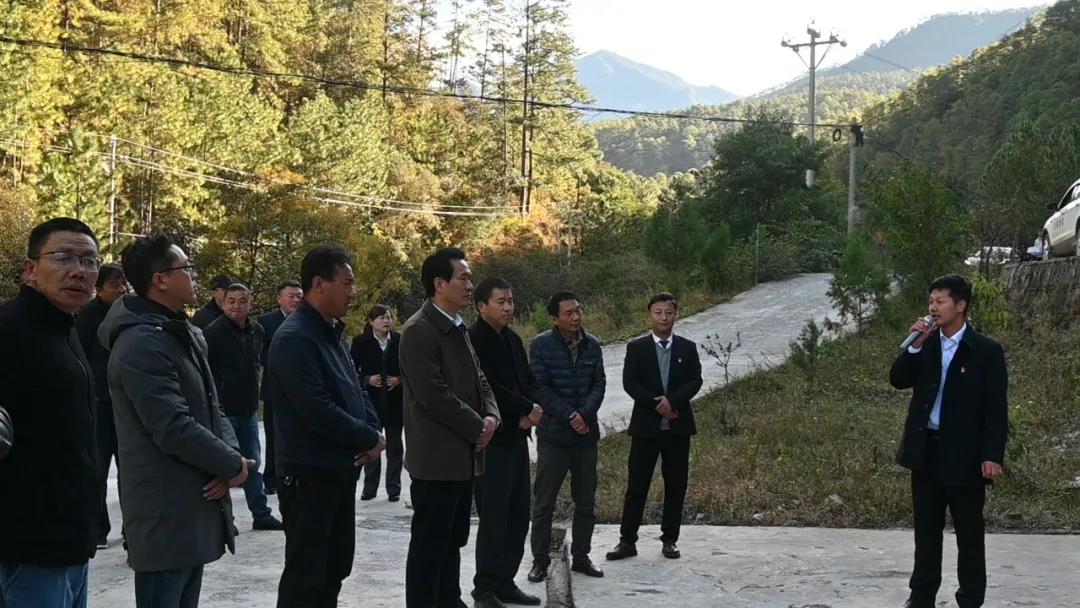 1636682142106060790.jpg 1.jpg