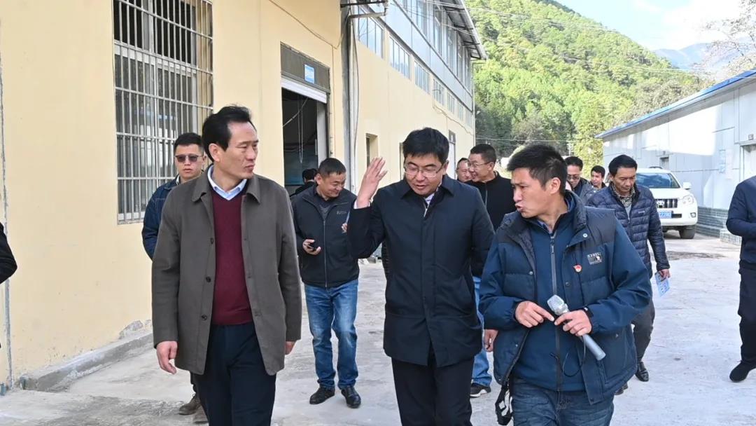 1636682154206010516.jpg 2.jpg