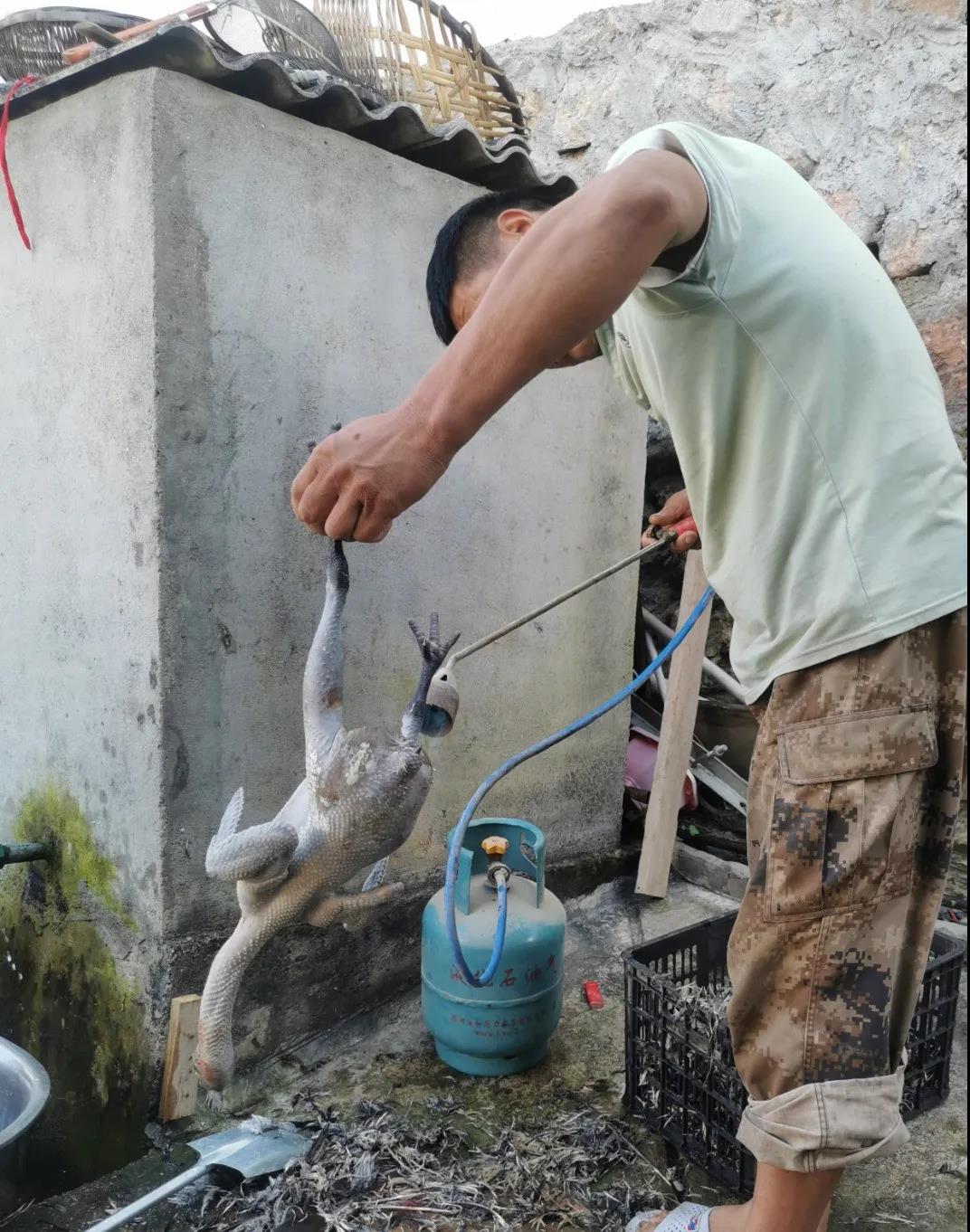 1637113682316062762.jpg 3.jpg