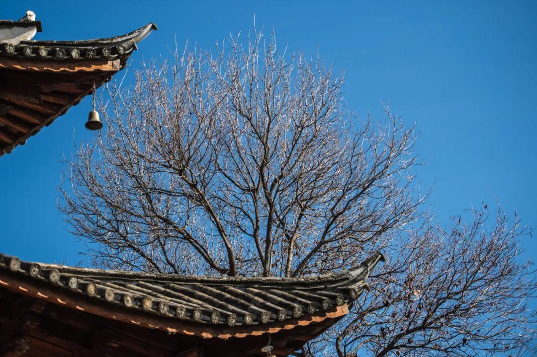 1637716836594096970.jpg 6.jpg