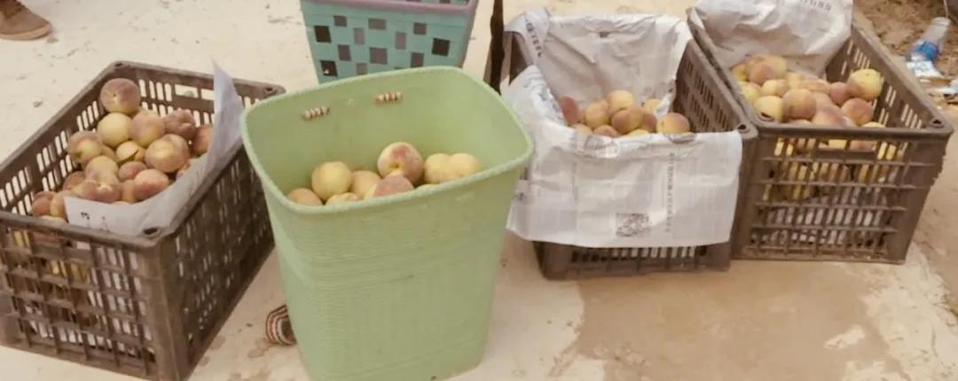 1638754154790000126.jpg 3.jpg