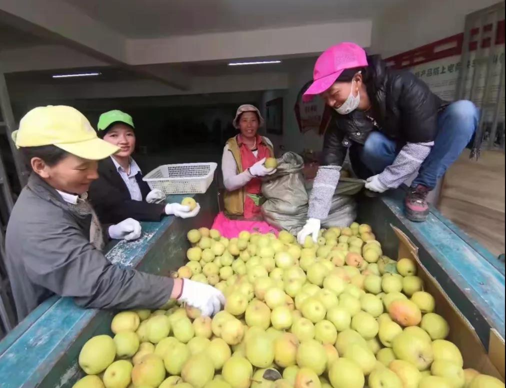 1644542148138069462.jpg 2.jpg