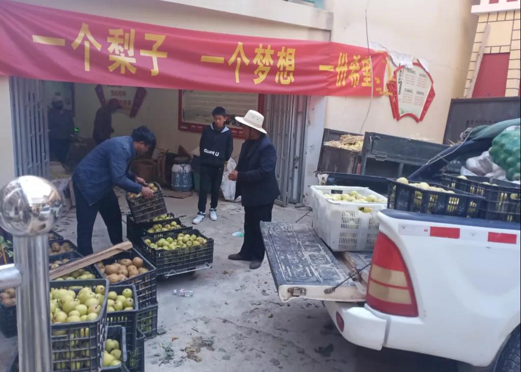 1644542161642090684.jpg 3.jpg