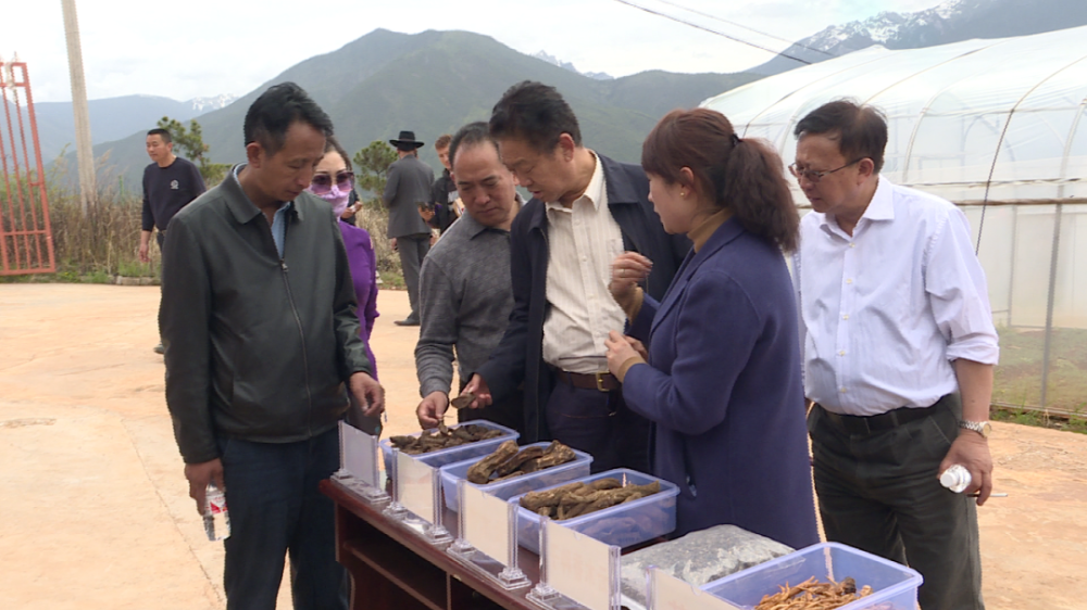 1652857114863000212.png 1.png