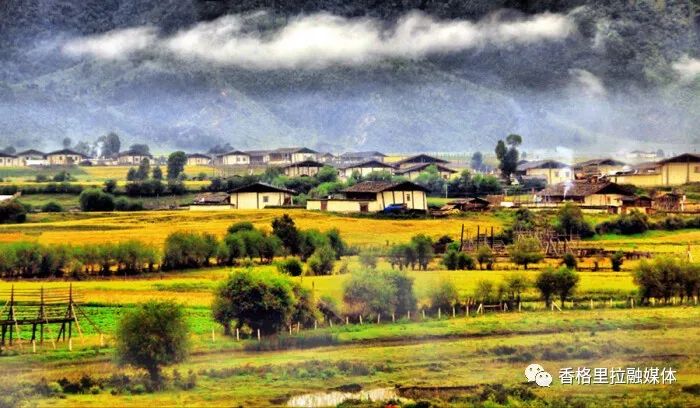 1653873177156017473.jpg 2.jpg