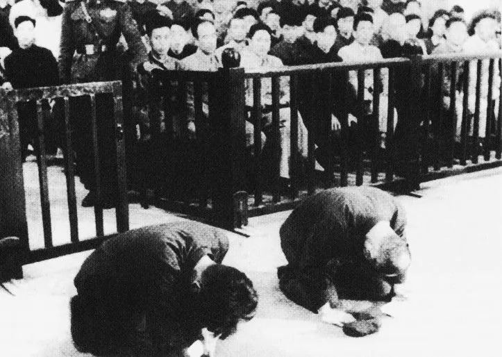 1663548879694042746.jpg 5.jpg