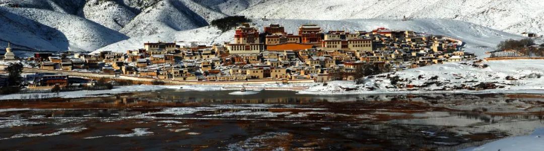 1671586839057032521.jpg 1.jpg