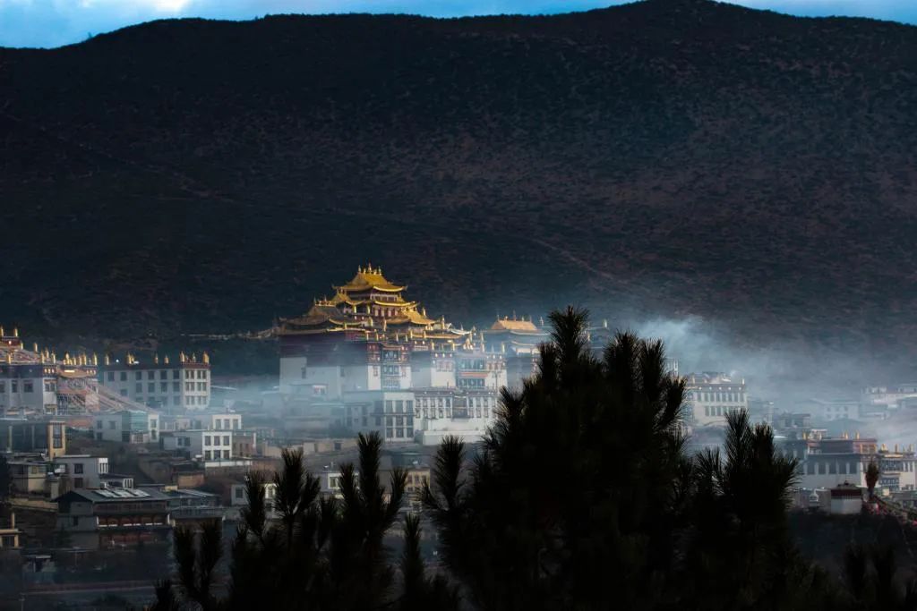 1671586917835075077.jpg 5.jpg