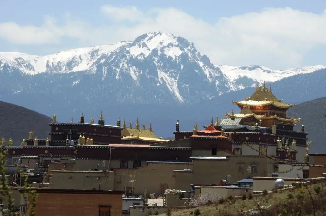 1671586982598001014.jpg 7.jpg