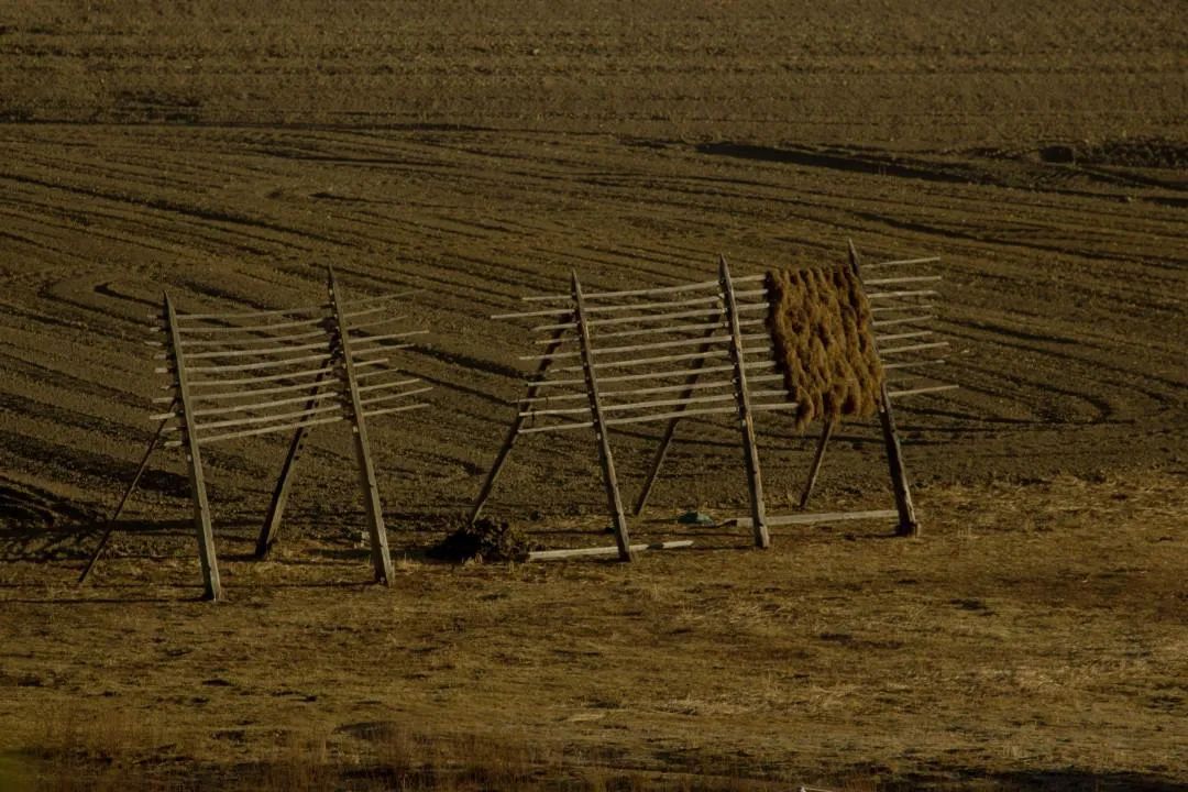 1671587013507080255.jpg 8.jpg