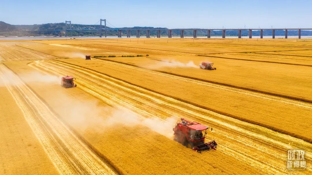 1672037113273083849.jpg 3.jpg