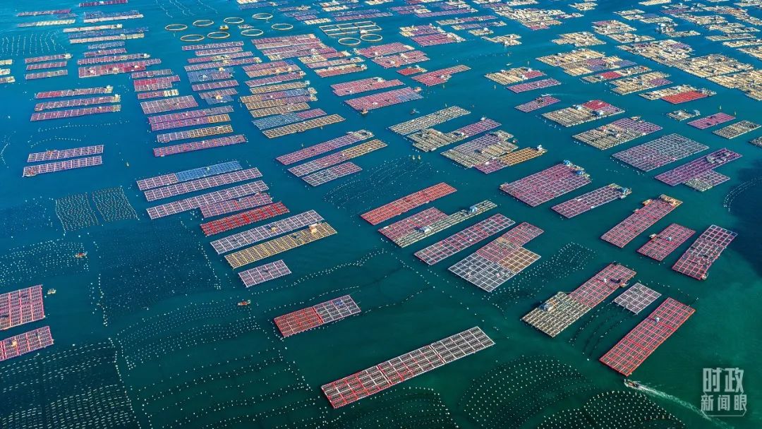 1672037429998048785.jpg 9.jpg