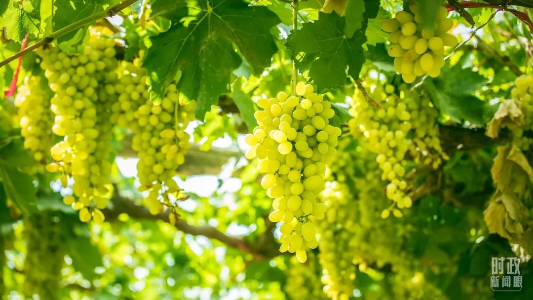 1672037473318064330.jpg 10.jpg