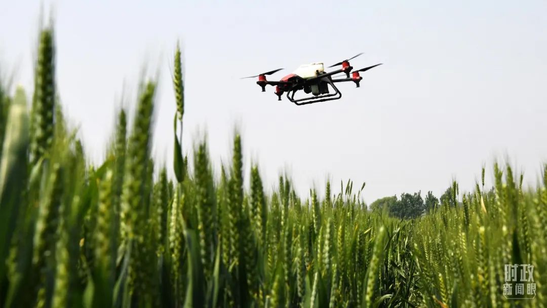 1672037518672043188.jpg 11.jpg