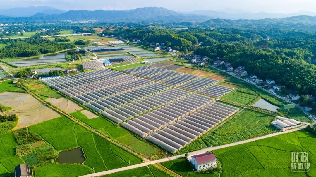 1672037607172069728.jpg 14.jpg