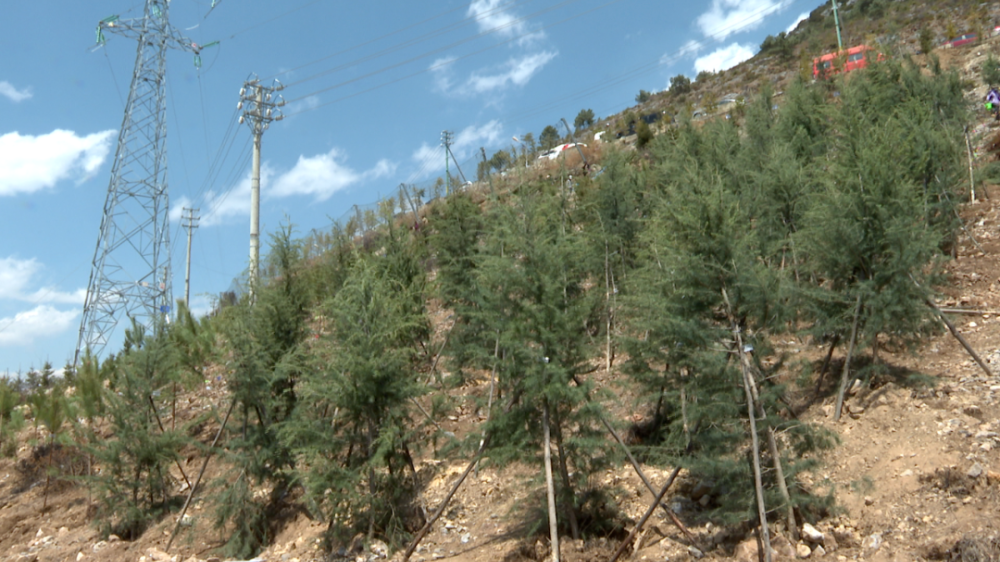 1681262847418053290.png 4.png