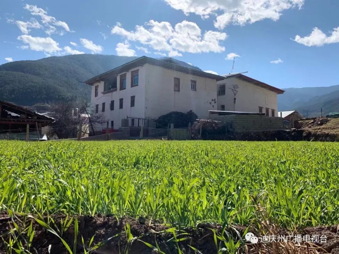 1695001682023047023.jpg 3.jpg