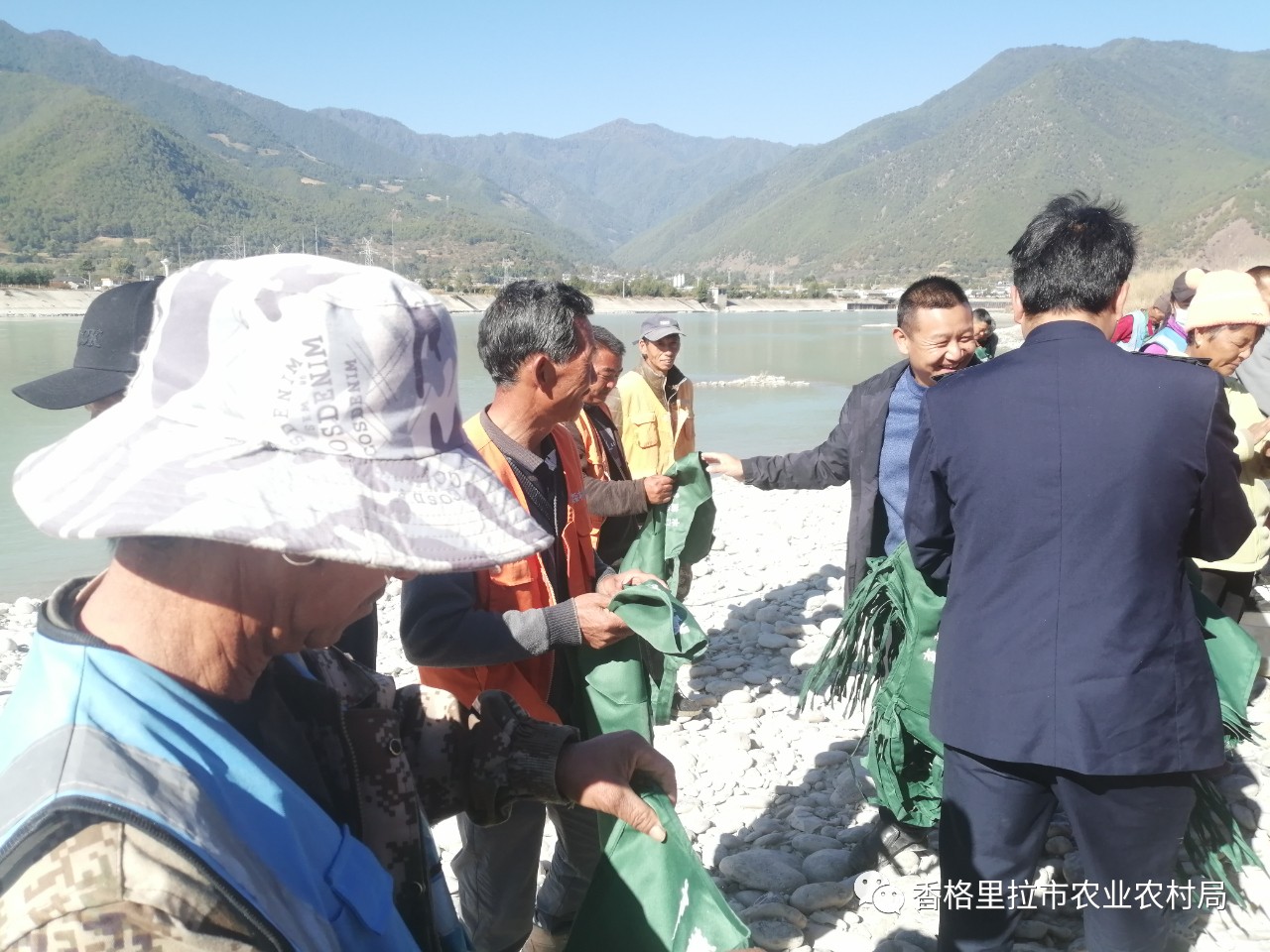 1700014288254006211.jpg 2.jpg