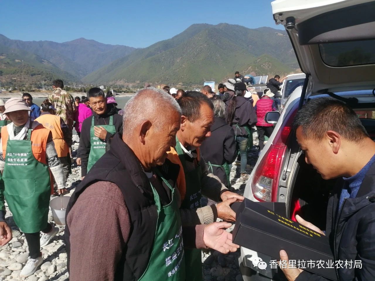 1700014312853072356.jpg 3.jpg