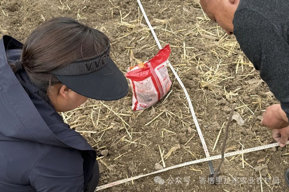 1715735022371053302.jpg 微信图片_20240515090932.jpg