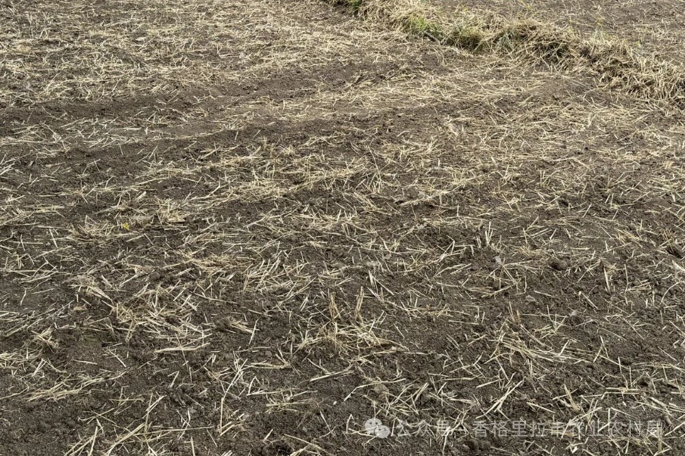 1715735050382055315.jpg 微信图片_20240515091002.jpg