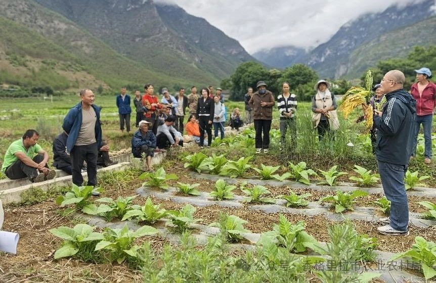 1719798190055063285.jpg 微信图片_20240701094858.jpg