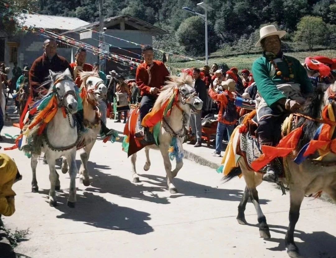 1729218613579021663.jpg 微信图片_20241018103648.jpg