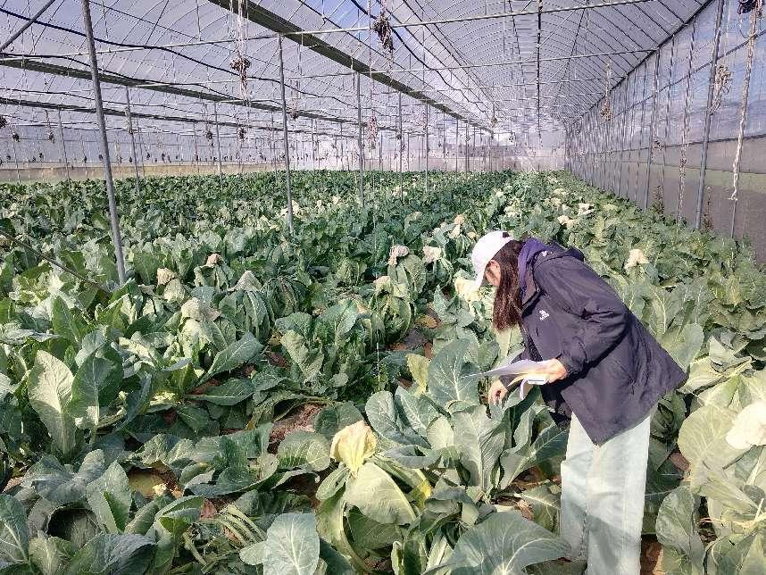 1732239929134056338.png 微信图片_20241122095146.png