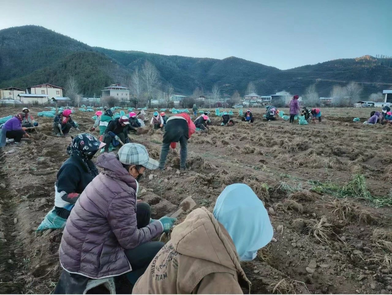 1732503764521026123.jpg 微信图片_20241125110920.jpg