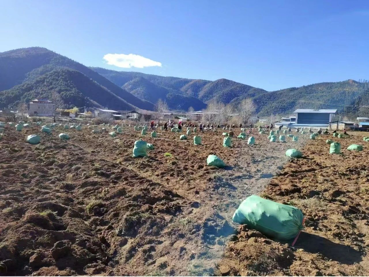 1732503792504018897.jpg 微信图片_20241125110930.jpg