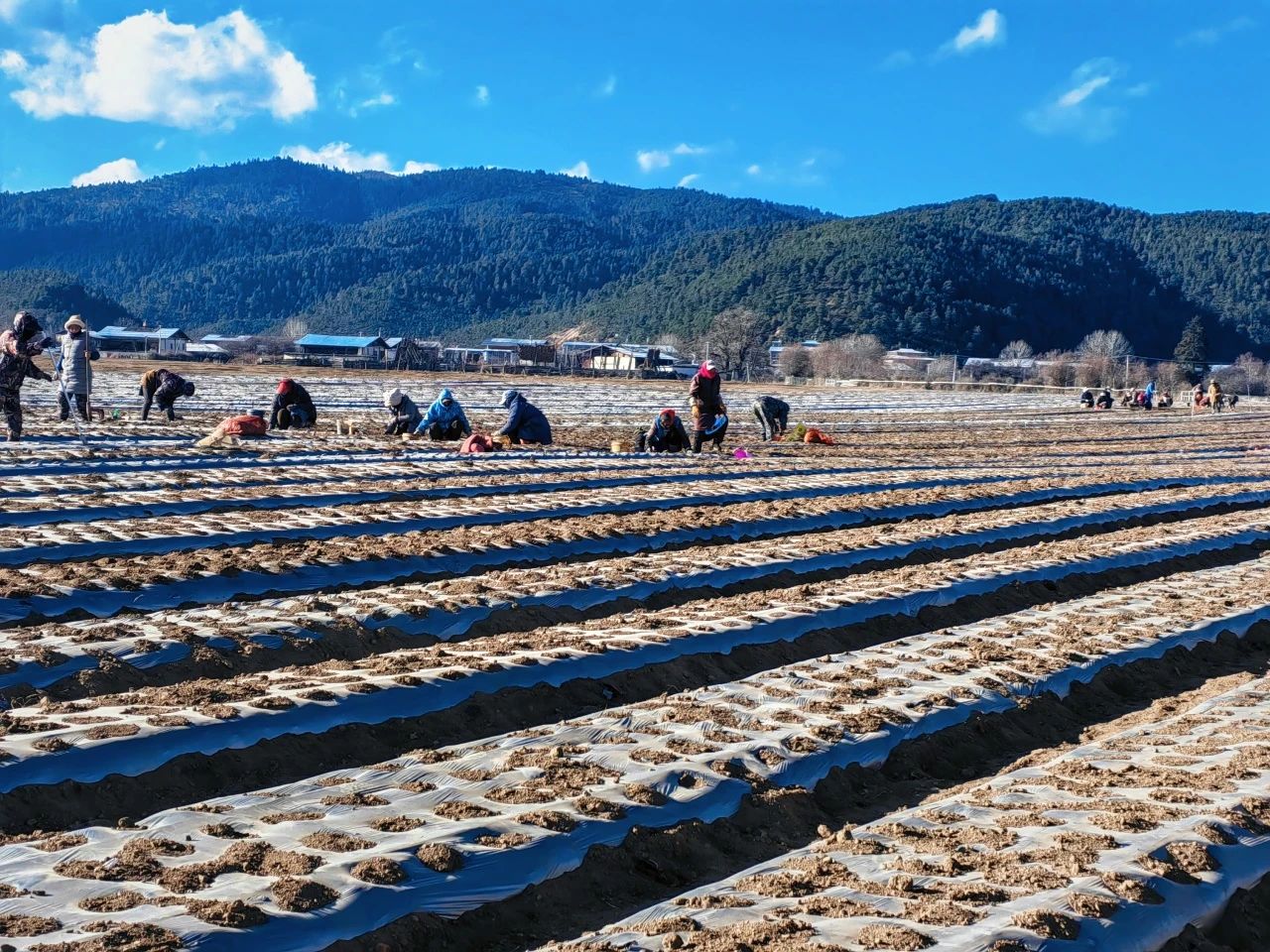 1734940107144081873.jpg 微信图片_20241223155518.jpg