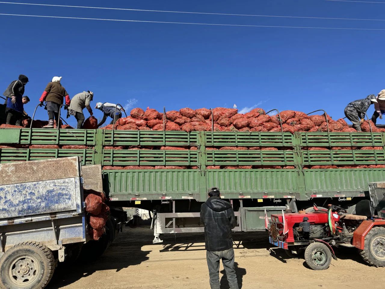 1734940115378042870.jpg 微信图片_20241223155521.jpg