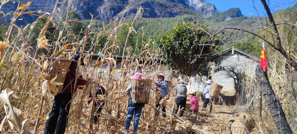 1735526024335095452.png 微信图片_20241230104048.png