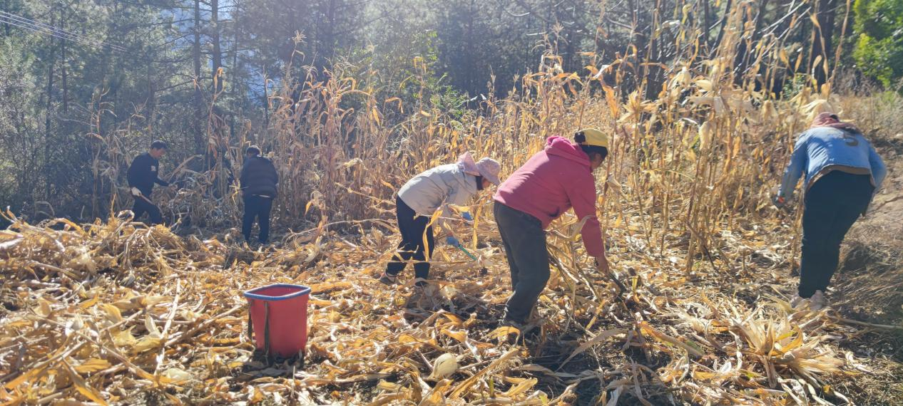 1735526043052067020.png 微信图片_20241230104110.png