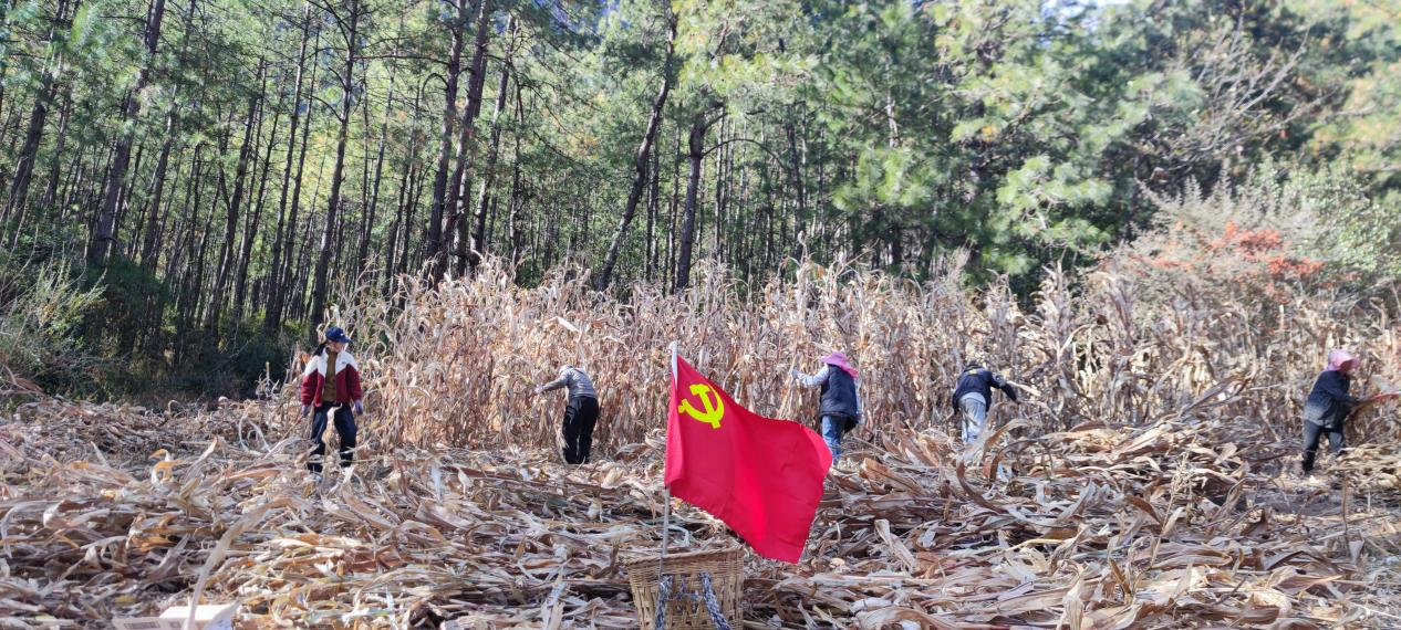 1735526060161018975.png 微信图片_20241230104128.png