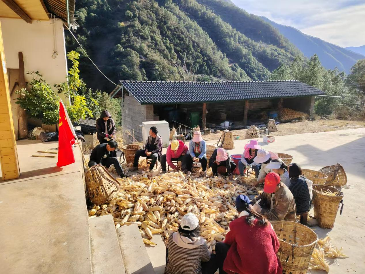 1735526085333044683.png 微信图片_20241230104147.png