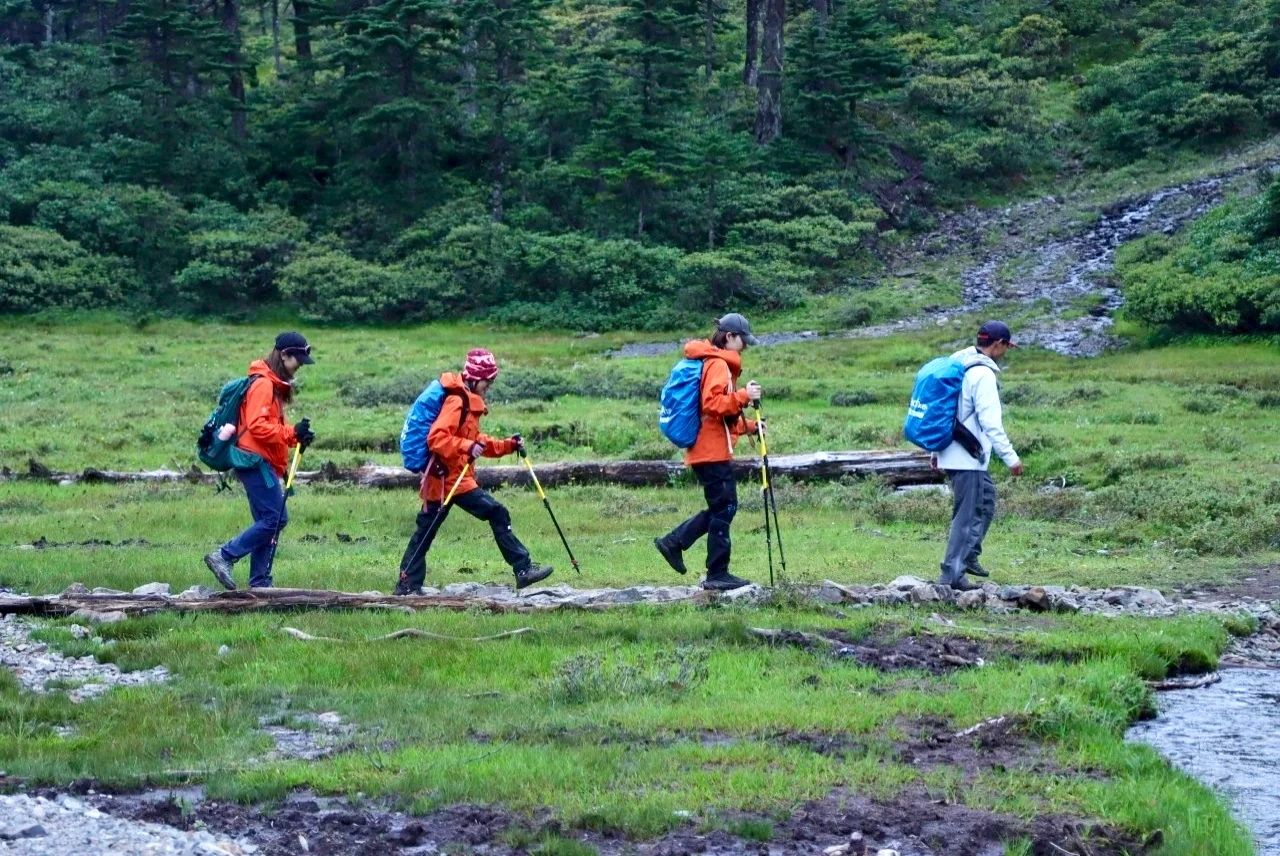 1749435233179031139.jpg 微信图片_20250609102130.jpg