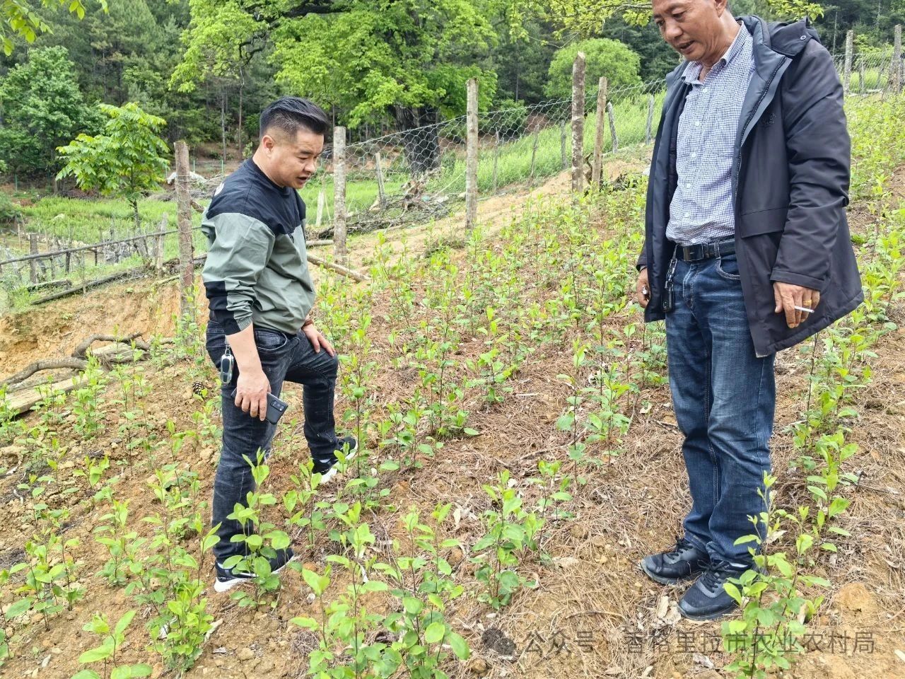 1749605682291015296.jpg 微信图片_20250611094303.jpg