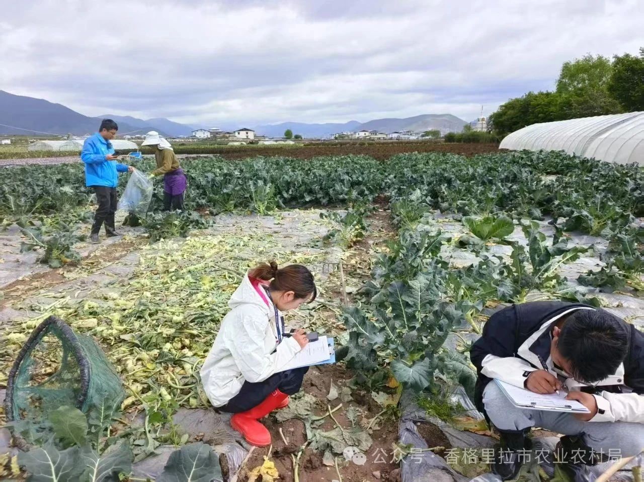 1750208866239024617.jpg 微信图片_20250618091609.jpg