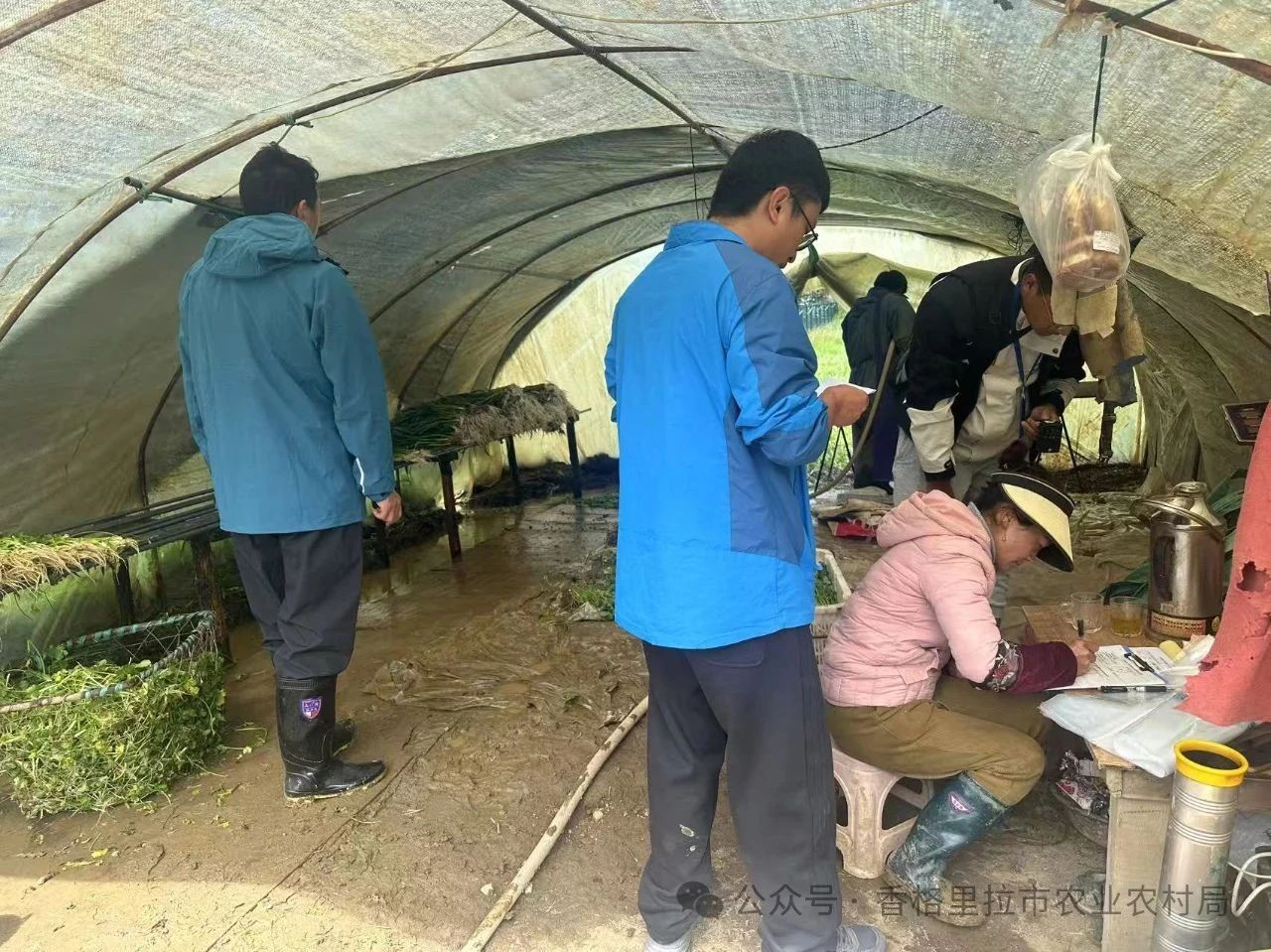 1750383805448007738.jpg 微信图片_20250620095151.jpg