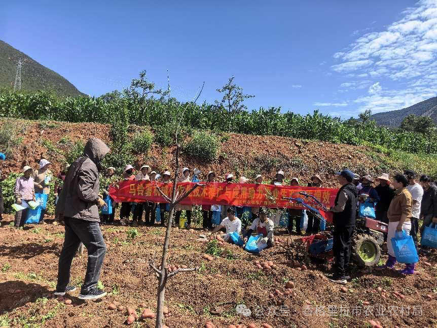 1751418314604037774.png 微信图片_20250702092123.png