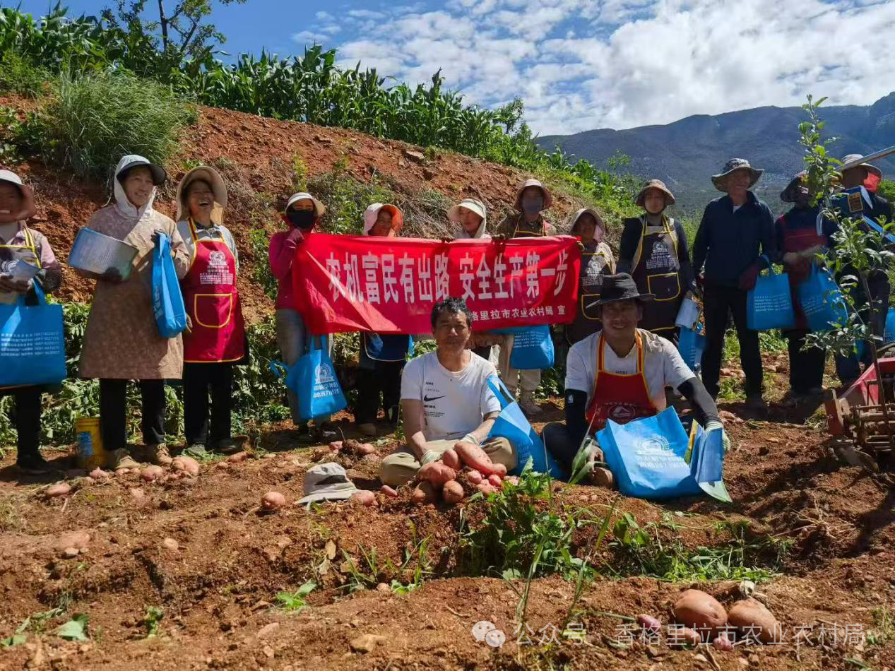 1751418345573018932.png 微信图片_20250702092157.png