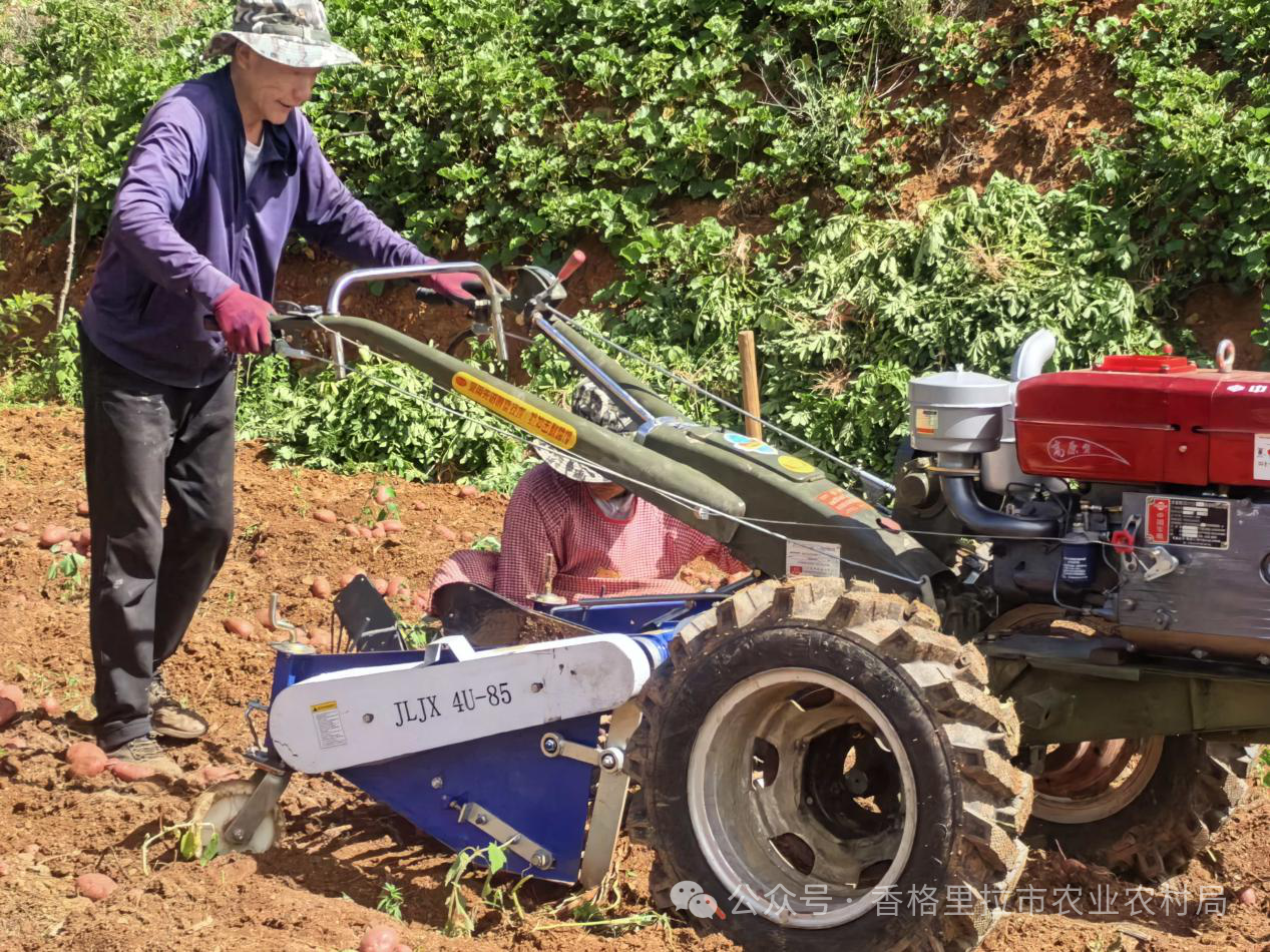 1751418374559025831.png 微信图片_20250702092227.png