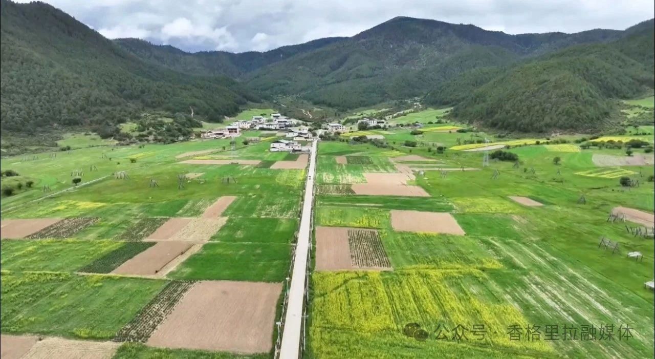 1751418464323062619.jpg 微信图片_20250702092354.jpg