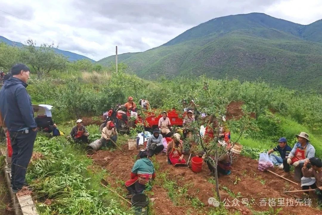 1752801002804098036.jpg 微信图片_20250718091828.jpg