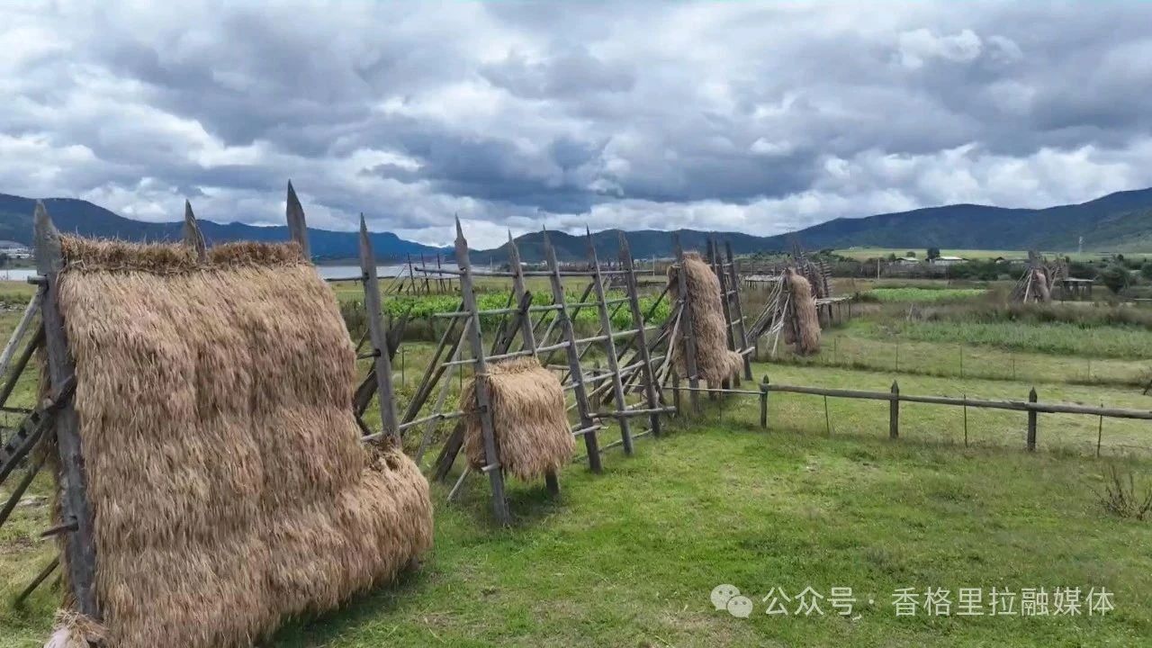 1753665548827077350.jpg 微信图片_20250728093555.jpg