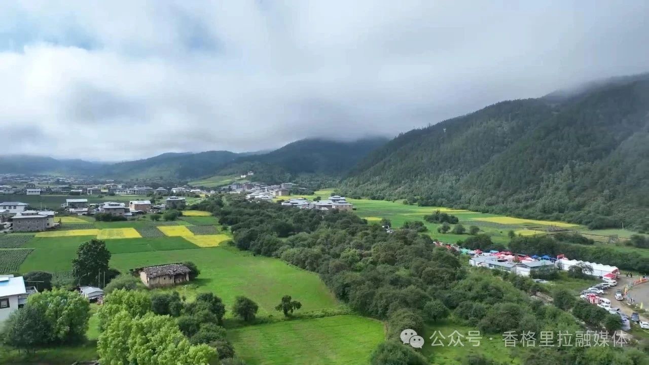 1753665602737035044.jpg 微信图片_20250728093653.jpg