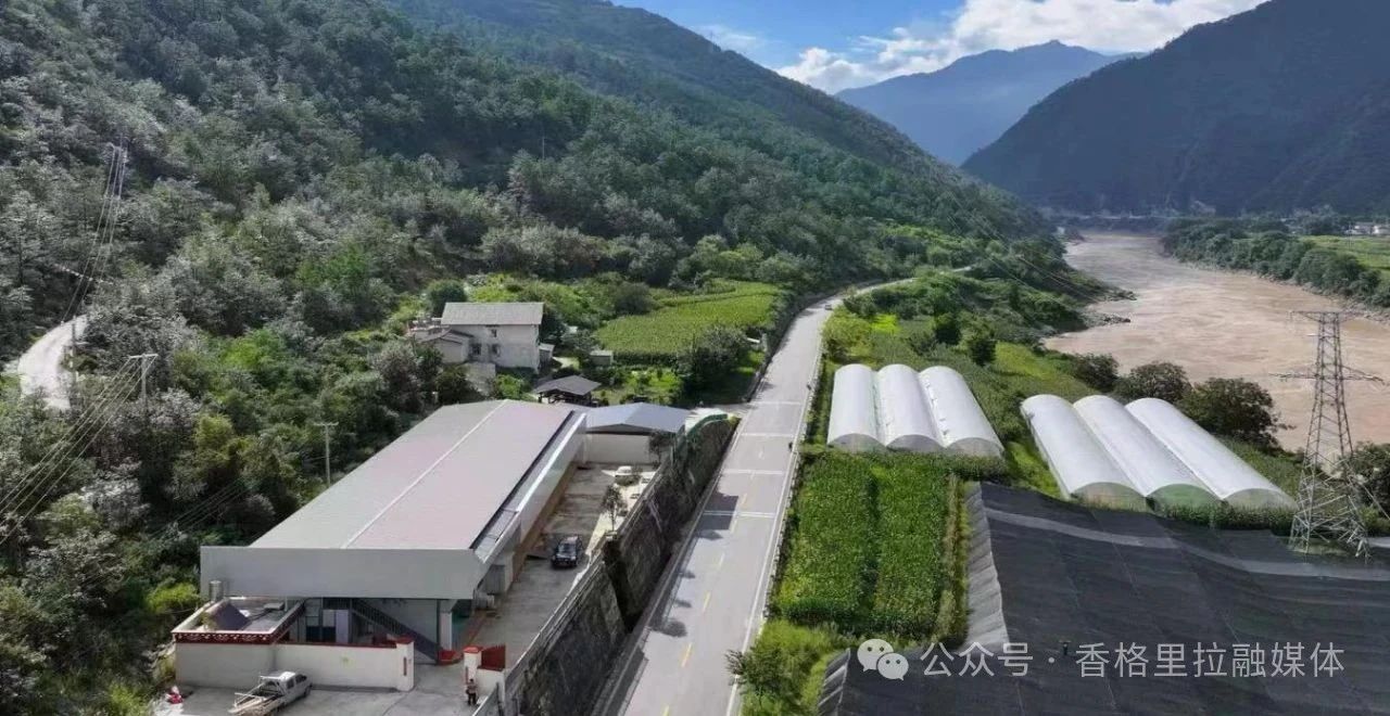 1755221967553083282.jpg 微信图片_20250815094811.jpg